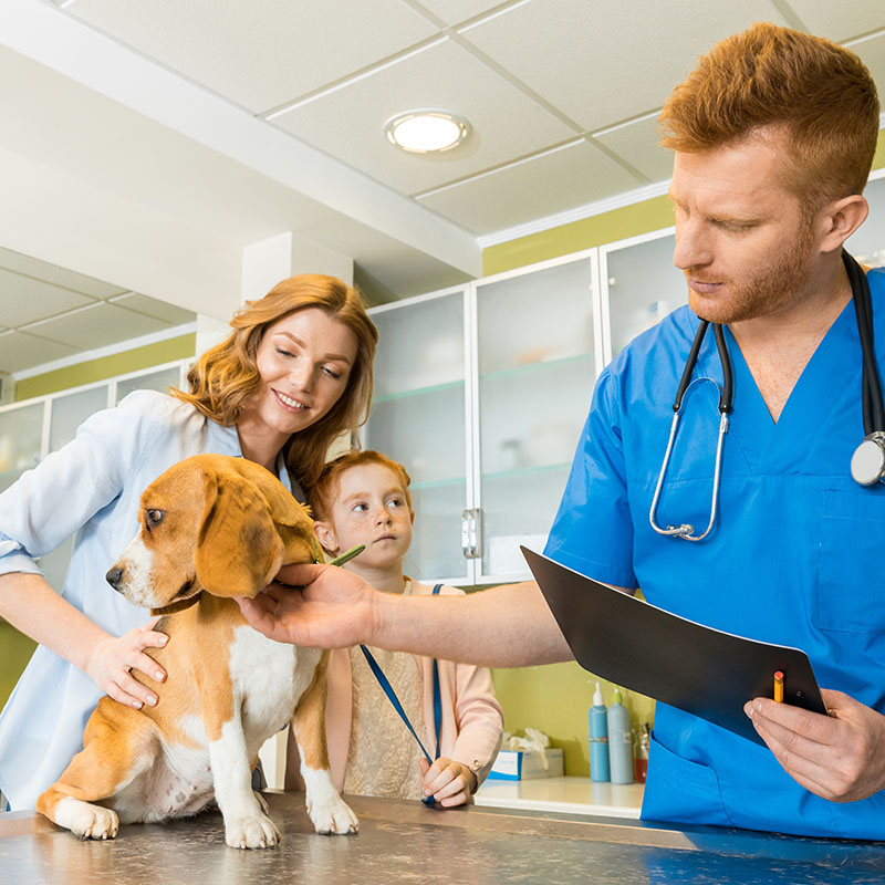 Caring vet with family and dog