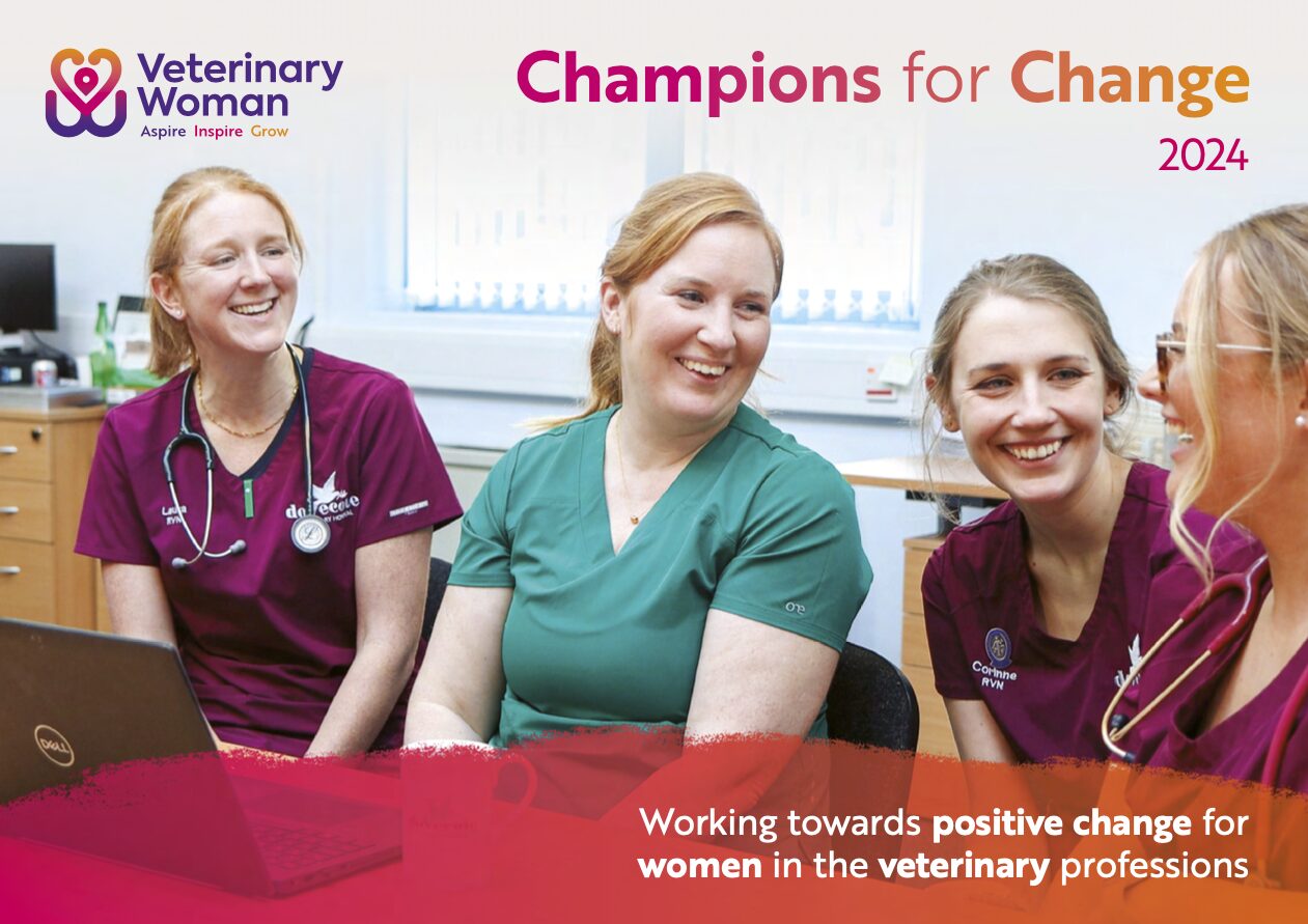 Cover of Champions for Change